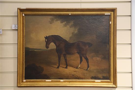 Early 19th century English School Brown horse in a landscape 18 x 23.25in.